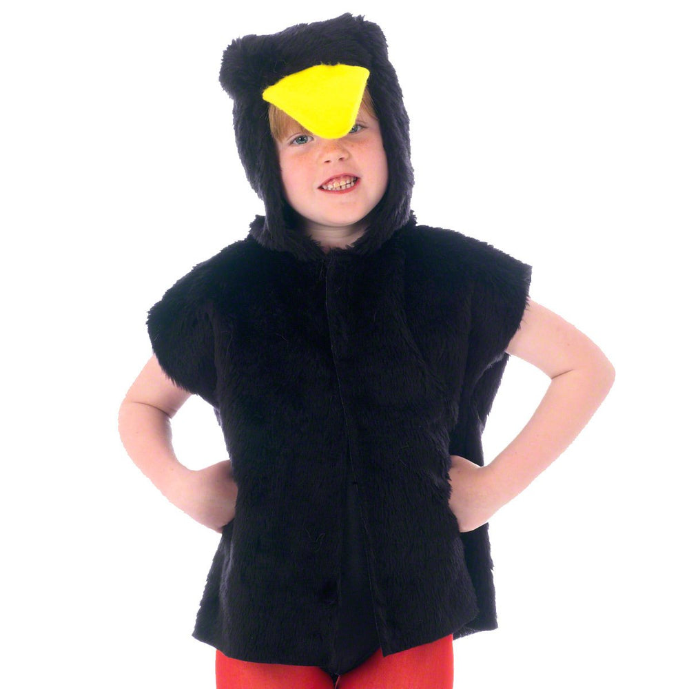 Image of Kids Blackbird | Rook |Crow | Raven costume | Charlie Crow