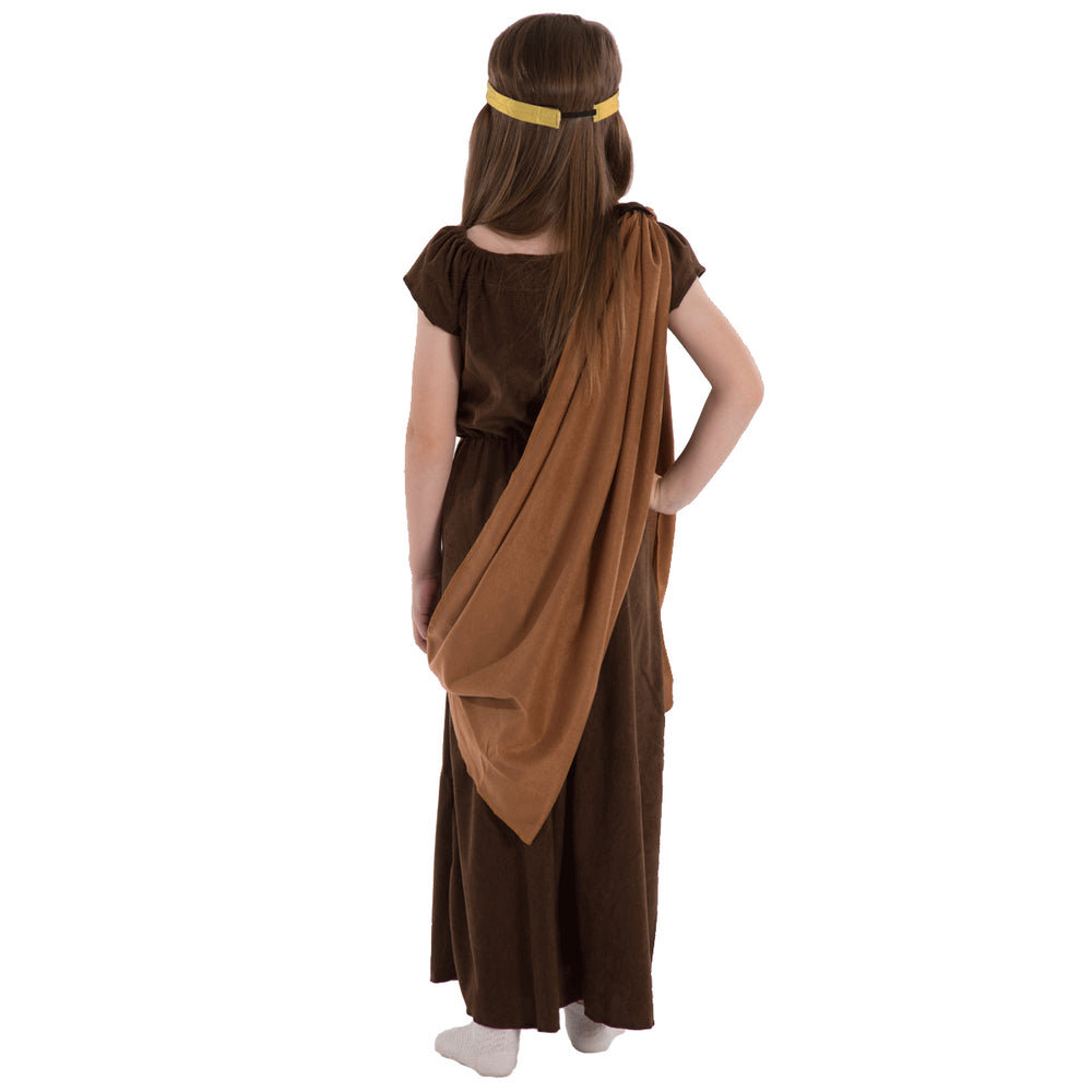 Historical Viking Girl costume