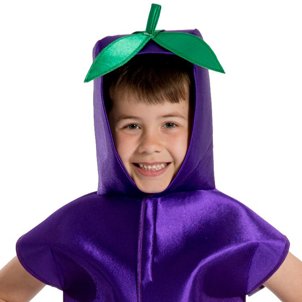 3-8 Yrs | Plum / Grape Fruit Aubergine costume