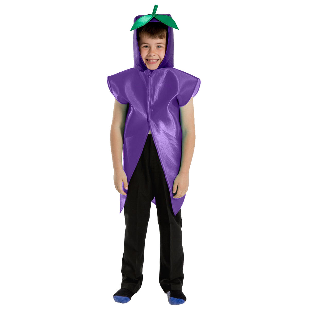 3-8 Yrs | Plum / Grape Fruit Aubergine costume