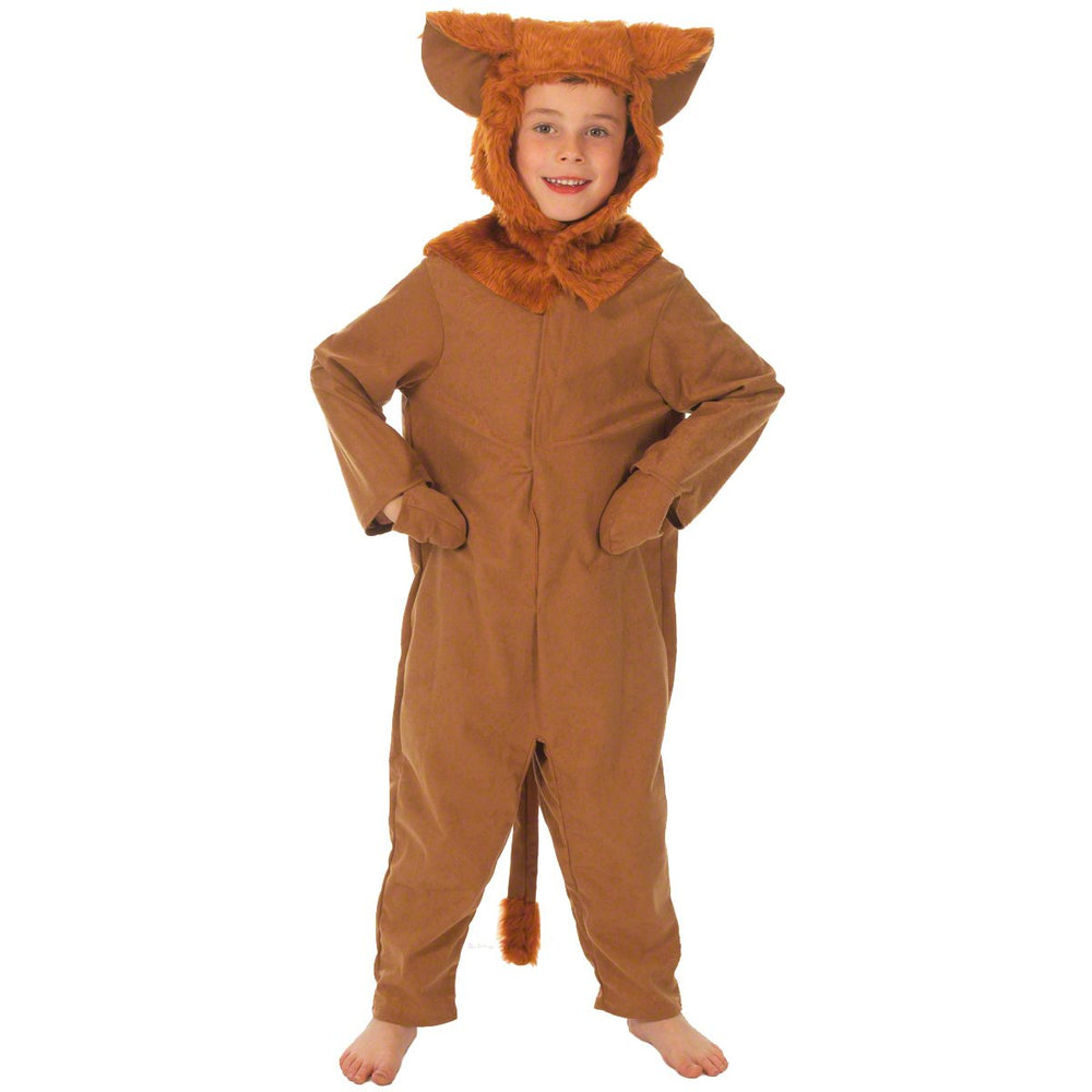 Image of Lion costume for kids | Charlie Crow