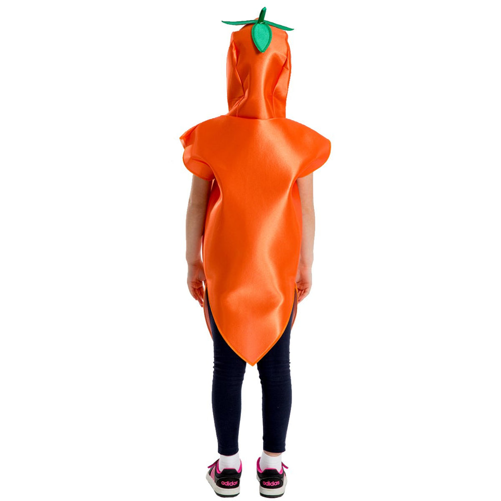 Image of Carrot Fruit Veg kids dress up costume | Charlie Crow